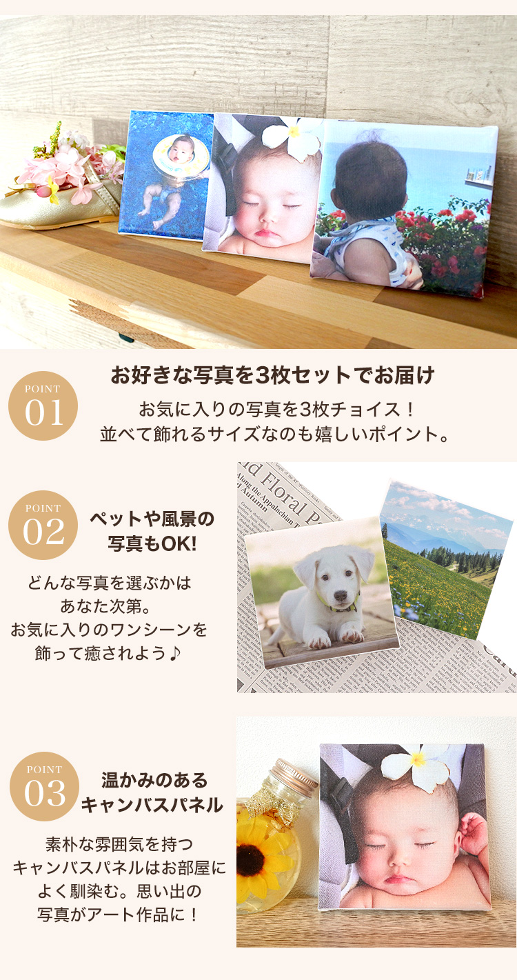 photopanel-01-03.jpg
